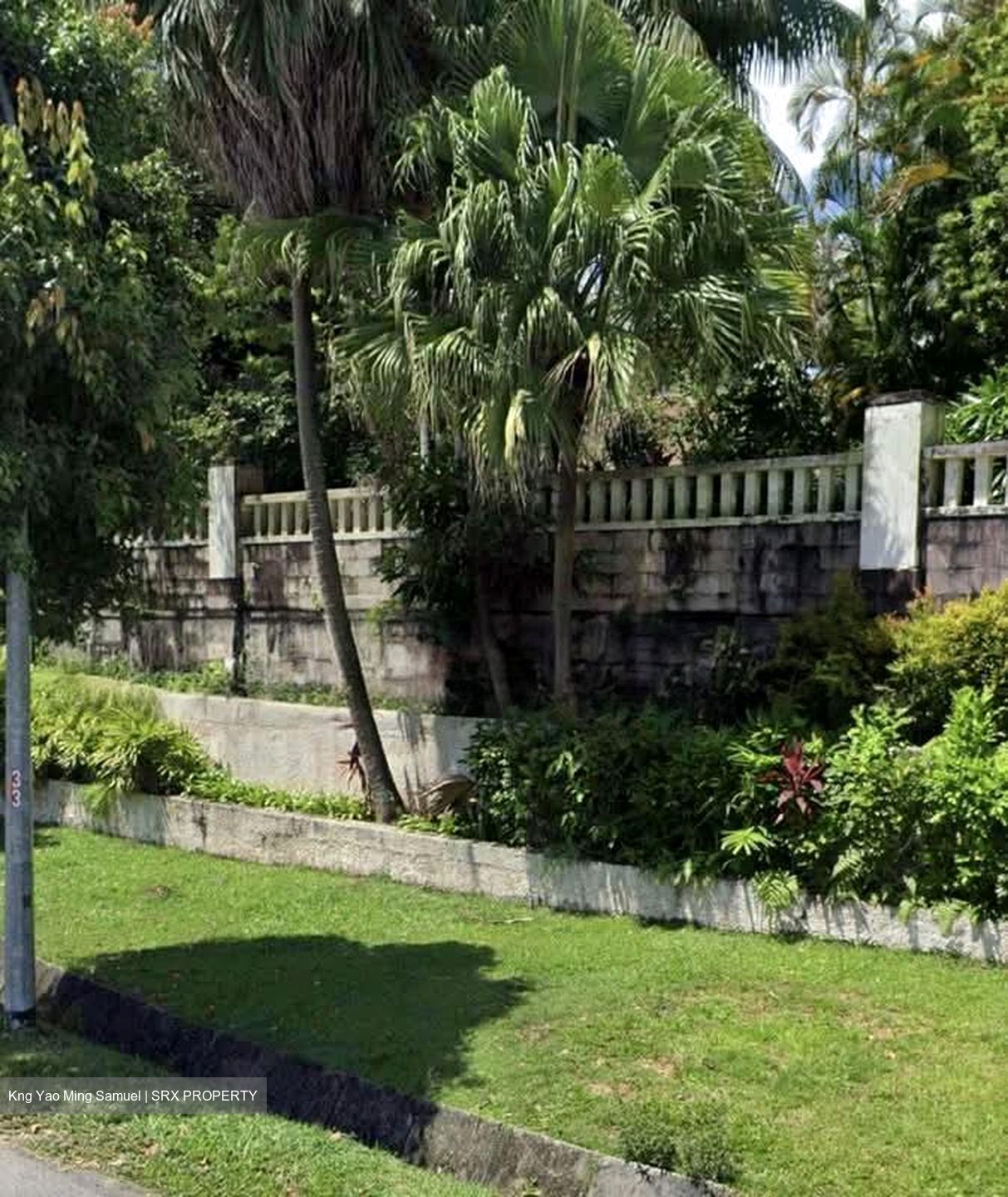 Leedon Park (D10), Detached #560796071